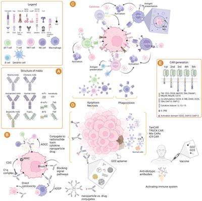 GD2-targeting therapy: a comparative analysis of approaches and promising directions